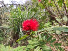 -风云岭森林公园