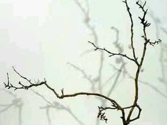 -乐享养生(东湖店)