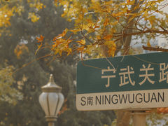 -八大关景区
