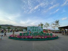 -盈香心动乐园