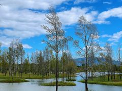 -野鸭湖国家湿地公园