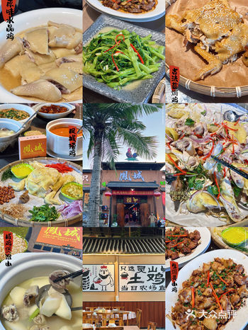 开平也有食鸡专门店了，只用灵山鸡