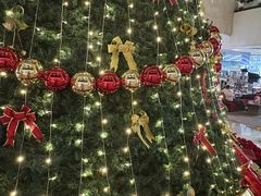 -皇朝尊会(龙之梦大酒店)