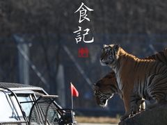 -横道河子东北虎林园