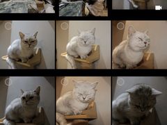 -万小咖.猫咖(中山路天虹店)