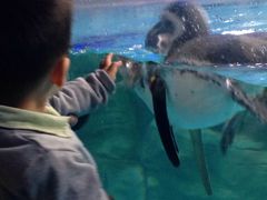 -常州海昌海洋探索馆
