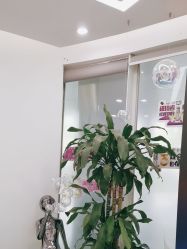 -ZELL·泽尔医疗美容