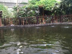 -龙达温泉生态城