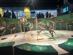 -国家自然博物馆