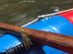 -将军关探险漂流