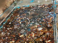 -新丁香海鲜酒店(银海商贸城店)