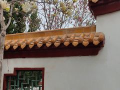 -神州牡丹园