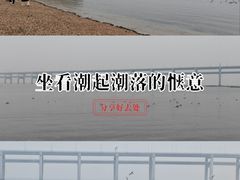 -黑石礁公园