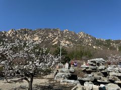 -北京凤凰岭