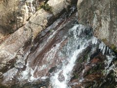 -东白山
