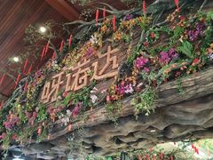 -呀诺达热带雨林