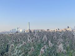 -厦门园林博览苑