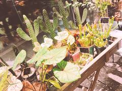 -胡桃里音乐酒馆(四道口店)