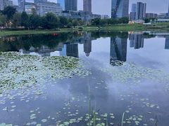 -桂溪生态公园