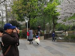 -玉山公园