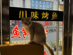 -重庆鸡公煲(朱家角店)