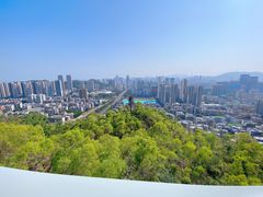-板樟山森林公园