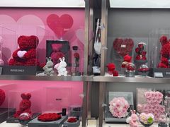 -ROSEONLY诺誓(沈阳万象城店)