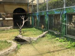 -西安秦岭野生动物园