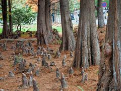 -南京市无想山景区