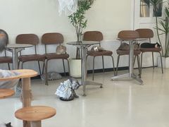 -共舞时光猫咖·狗咖(新街口店)