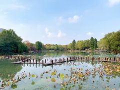 -苏州金鸡湖大酒店