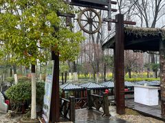 -合肥滨湖国家森林公园