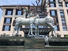 -鹭江潮餐厅•福建菜(鹭江佲家酒店)