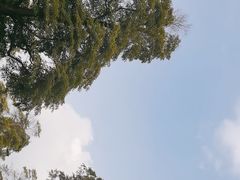 -南湖梦幻岛