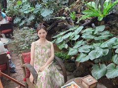 -Fern Forest Cafe
