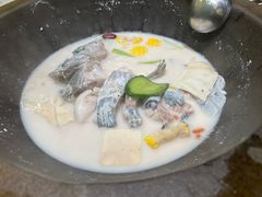 -鲜潭蒸汽石锅鱼(五道口购物中心店)