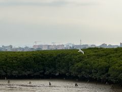 -上海瑞金洲际酒店
