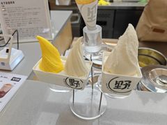 -野人先生现做冰淇淋(北京悠唐购物中心店)