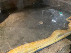 -Zoolung Zoolung动物主题公园(海信广场店)