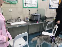 -宠颐生东兴动物医院(大悦城店)