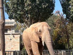 -石家庄市动物园