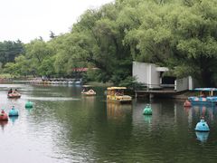 -上海共青森林公园