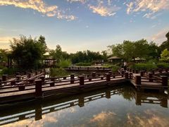 -成飞公园