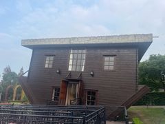 -金山农民画村-枫泾波兰倒置屋