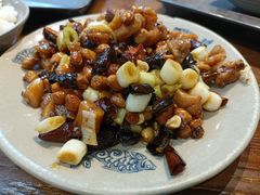 宫保鸡丁-峨嵋小镇·川菜(勒泰中心店)