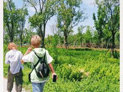 -郑东新区龙湖公共艺术中心