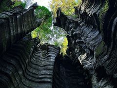 -梭布垭石林景区