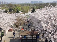 -苏州上方山国家森林公园