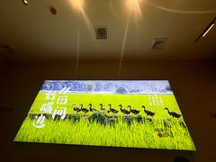 -杨厨的田园饭店(长城路店)