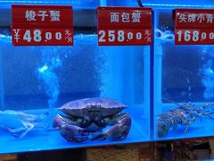 -小龍鳳·港式海鲜打边炉(沙湖路店)